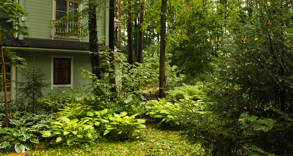 Ландшафтный дизайн лесного участка.