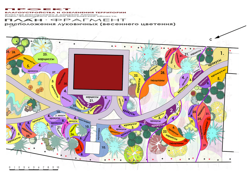 Ландшафтный проект участка - фрагмент плана высадки цветников из луковичных.