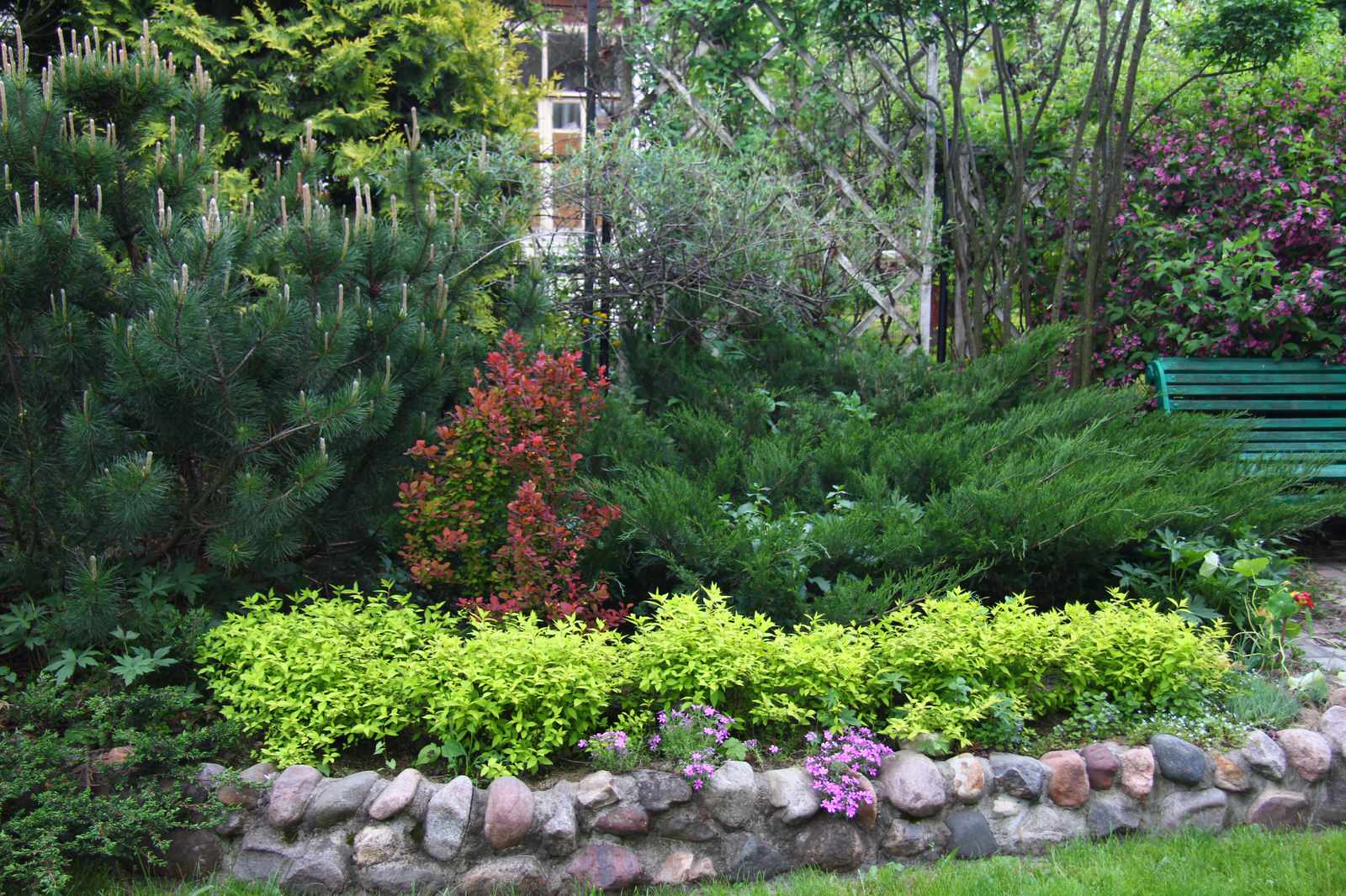 Наш сад / Our garden