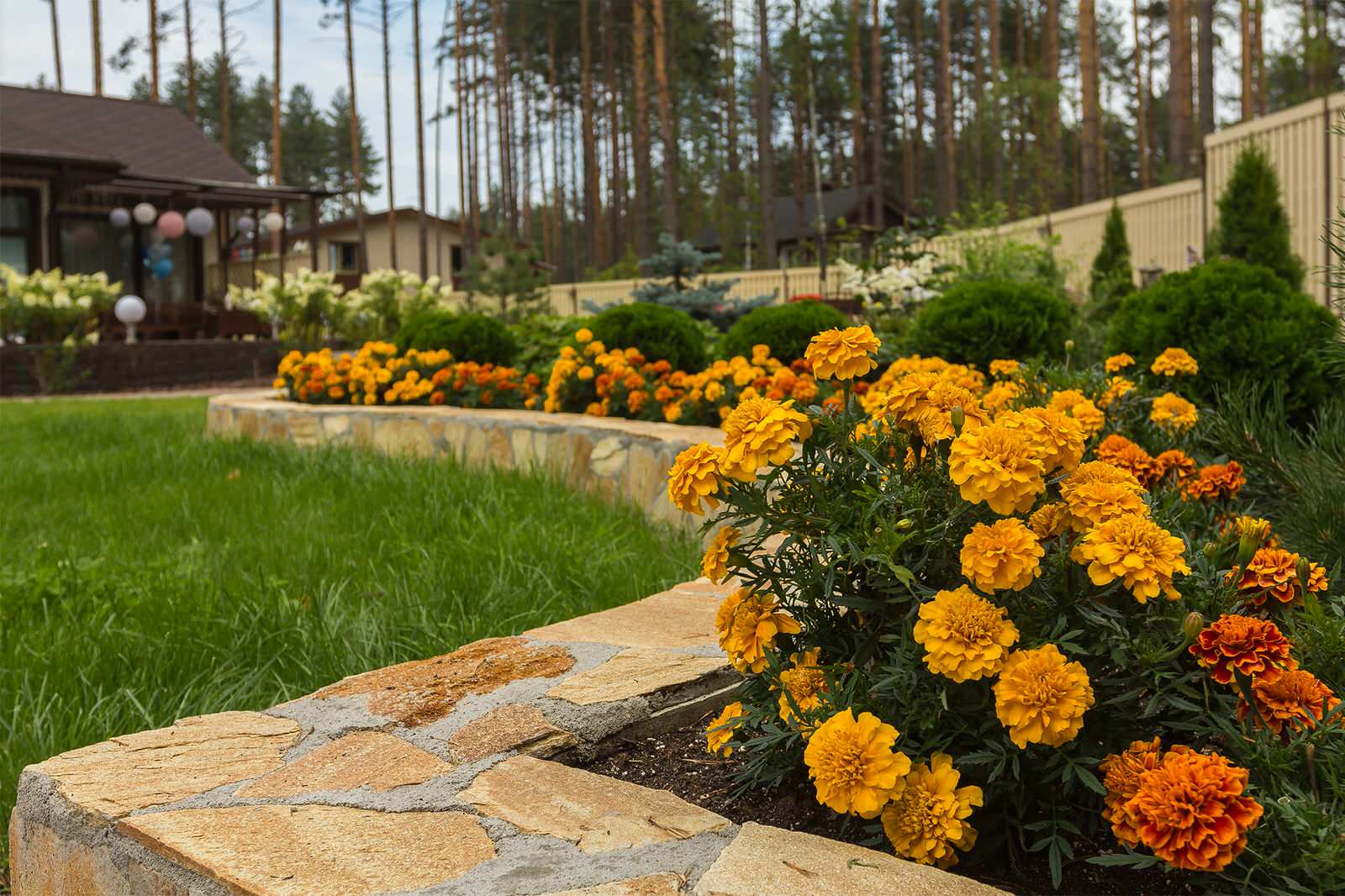 Жилой комплекс Северные просторы, №1