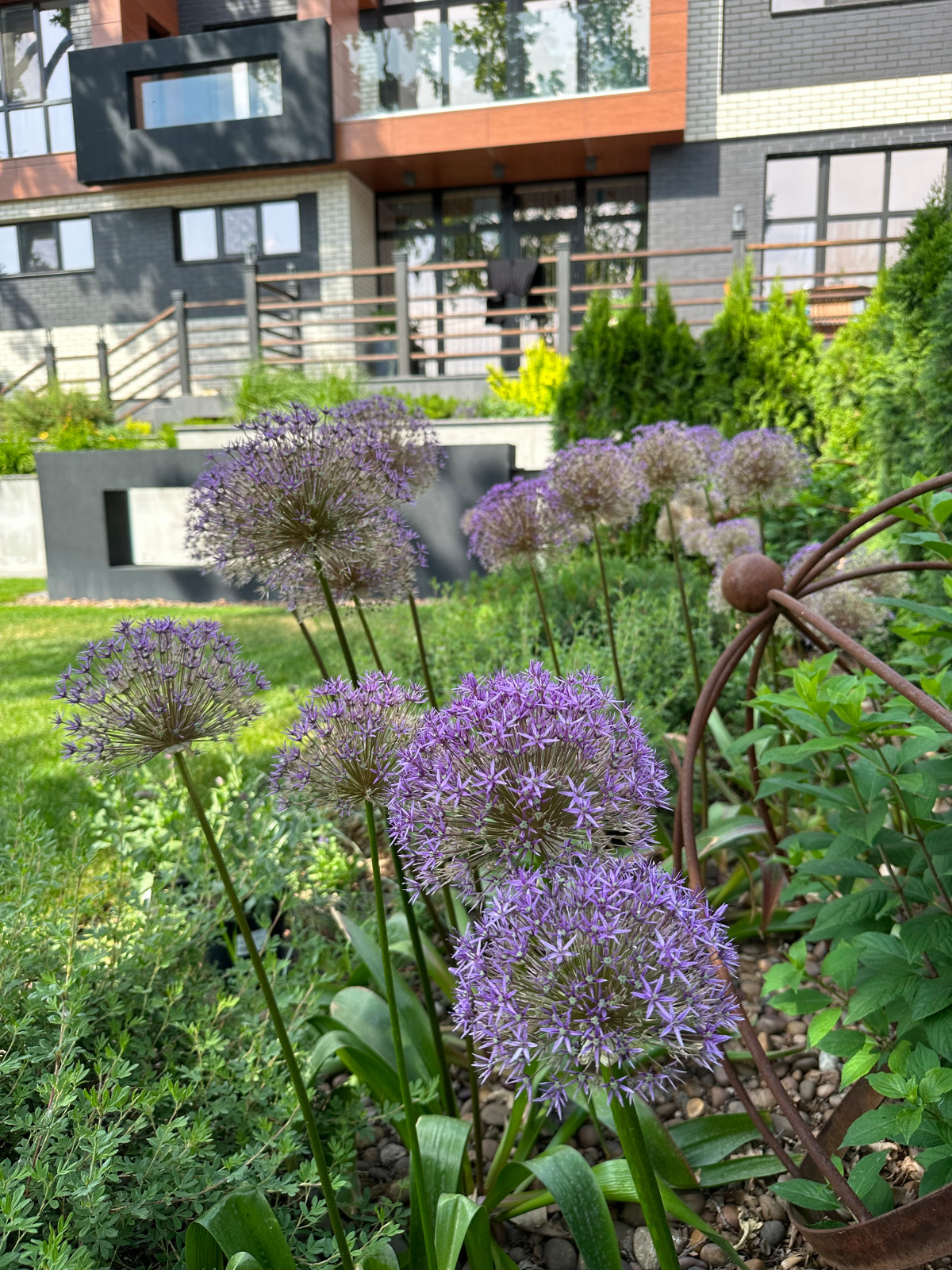 Современный сад