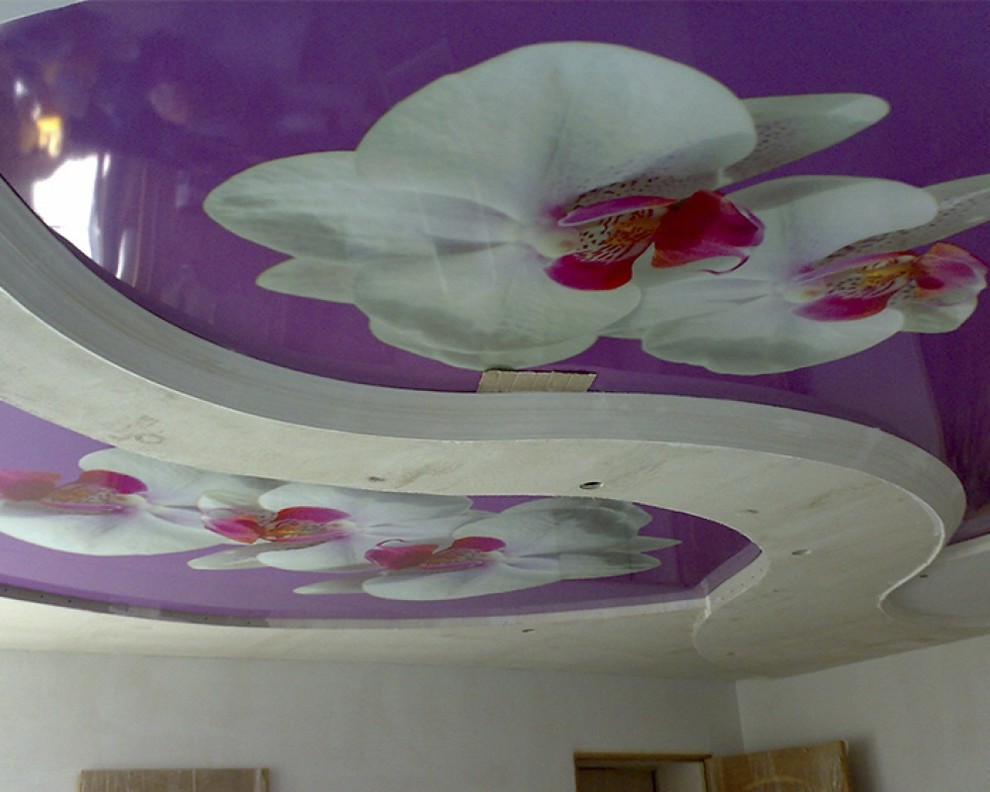 Натяжные потолки с фотопечатью