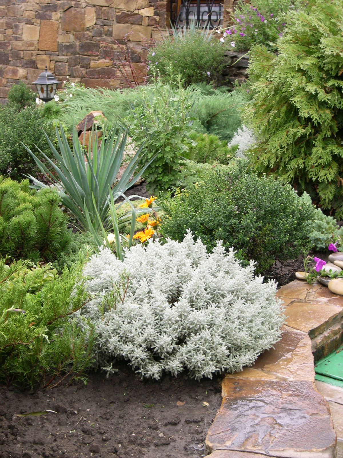 Ландшафт на рельефе