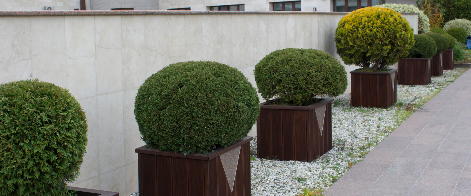 Большой сад на крыше