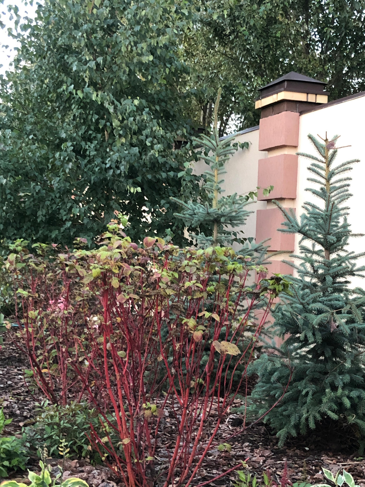 Волны и круг