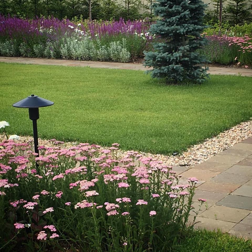 Обложка проекта: Миксбордеры из многолетников