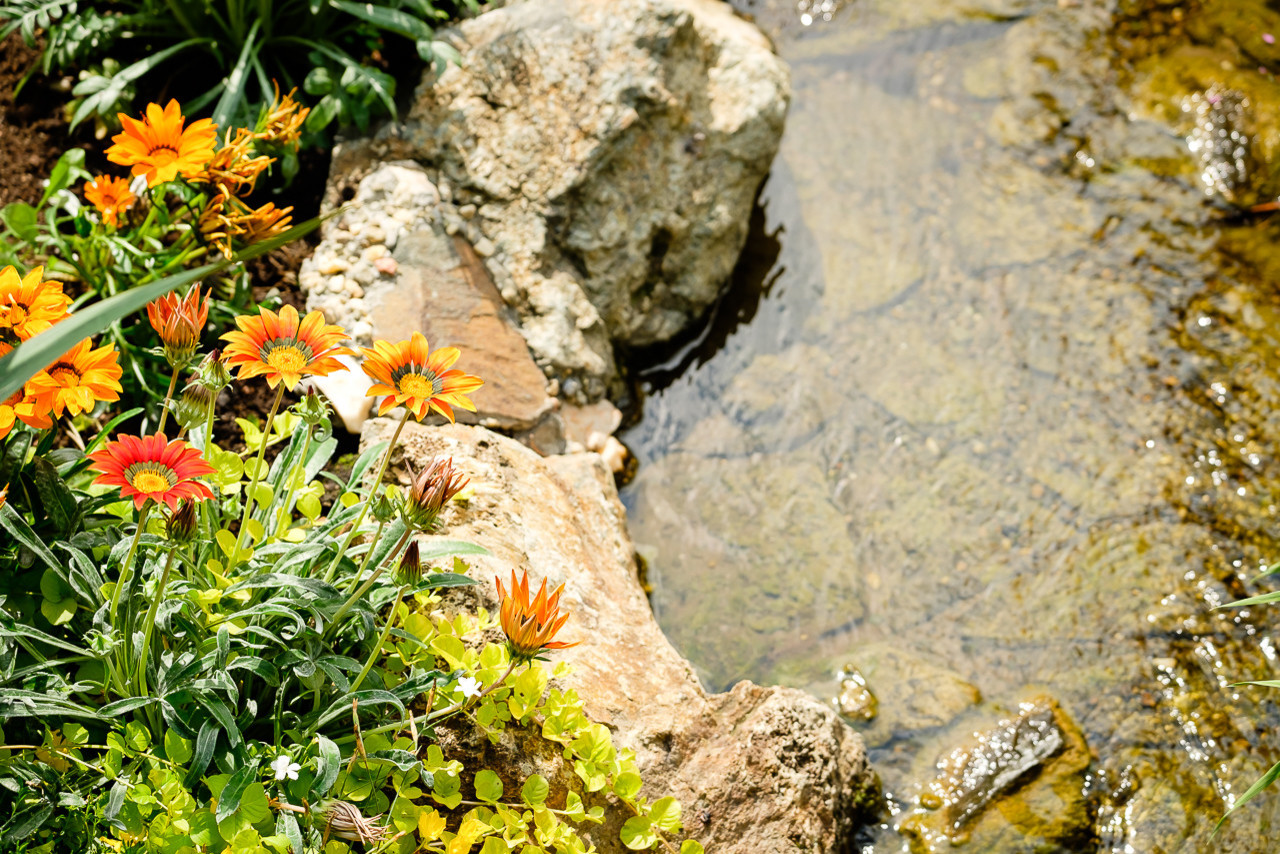 Простор и комфорт загородной жизни