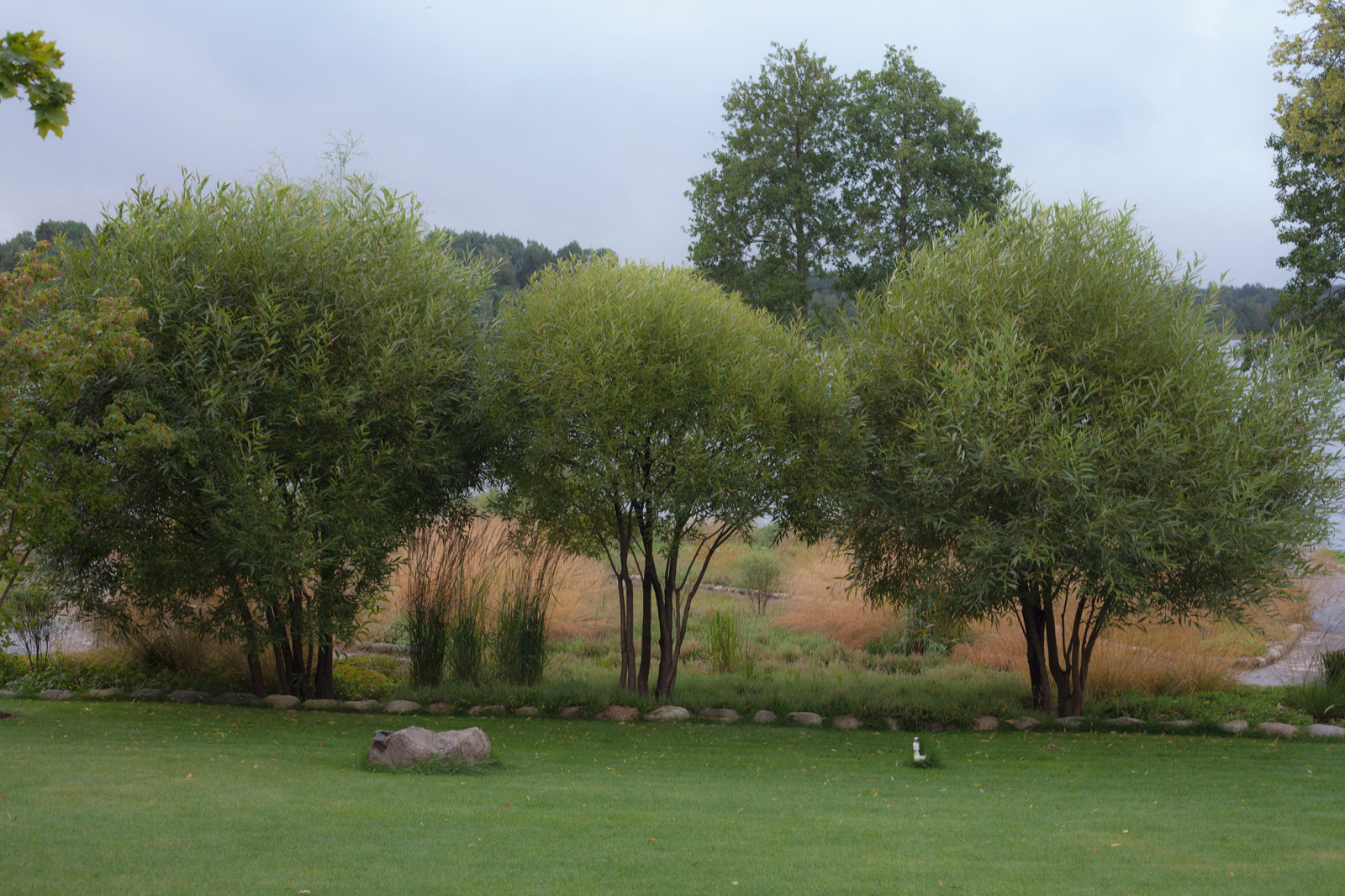 Обитель ветров, сад в Тверской области