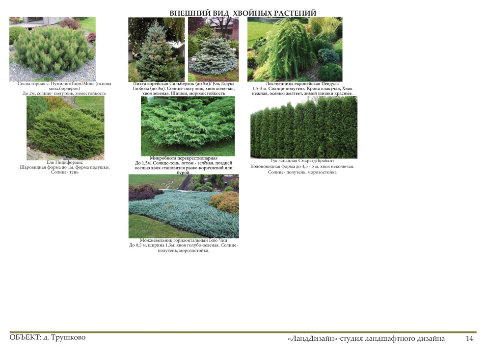 Проект ландшафтного дизайна