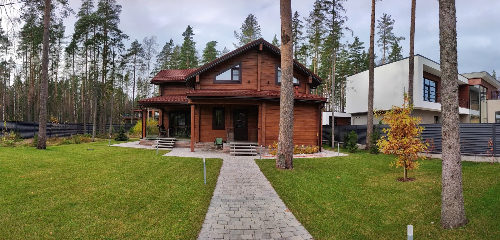 Дмитрий Богданов