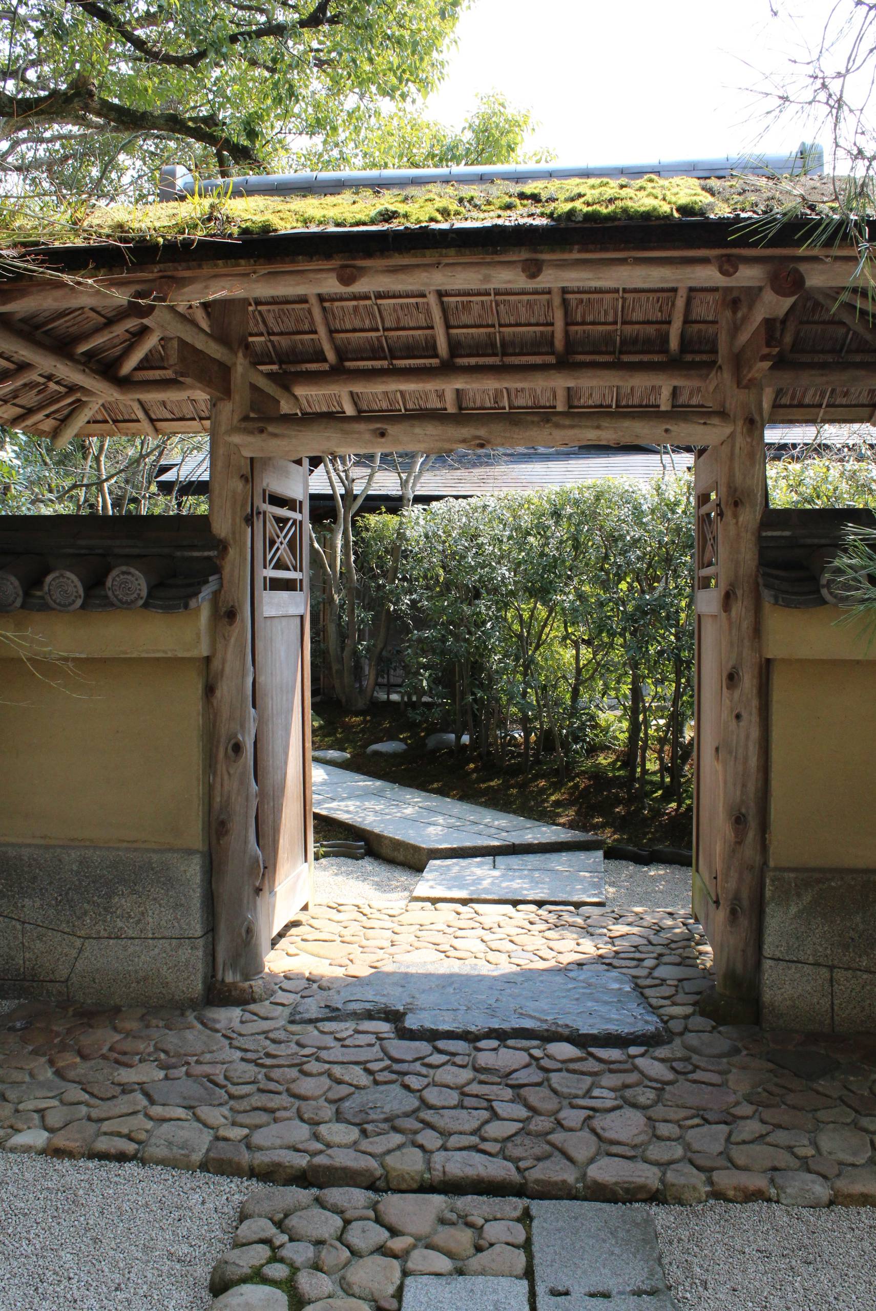 Проект недели: Сад как картина в художественном музее Адачи