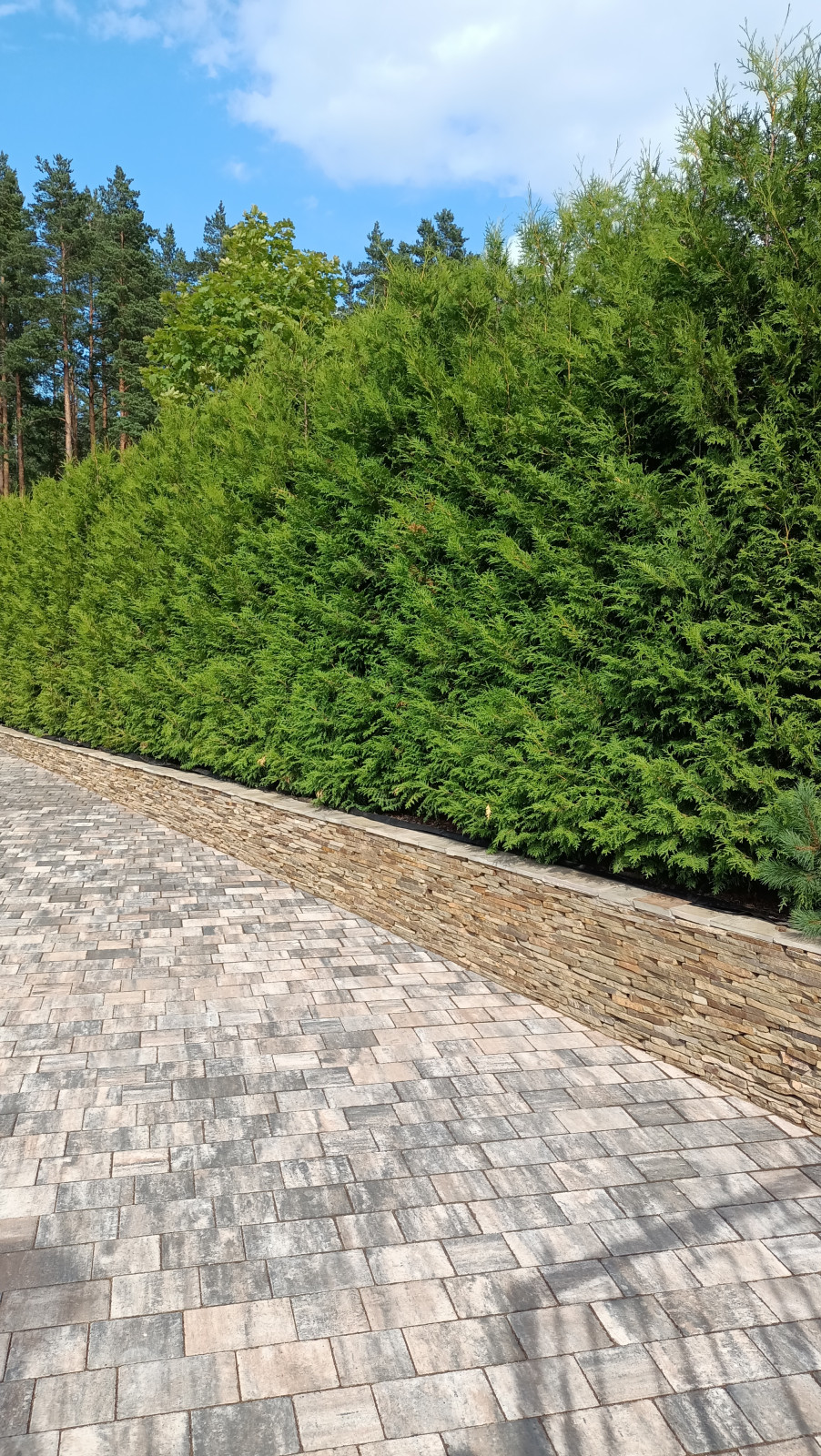 Дом в поселке Газпром