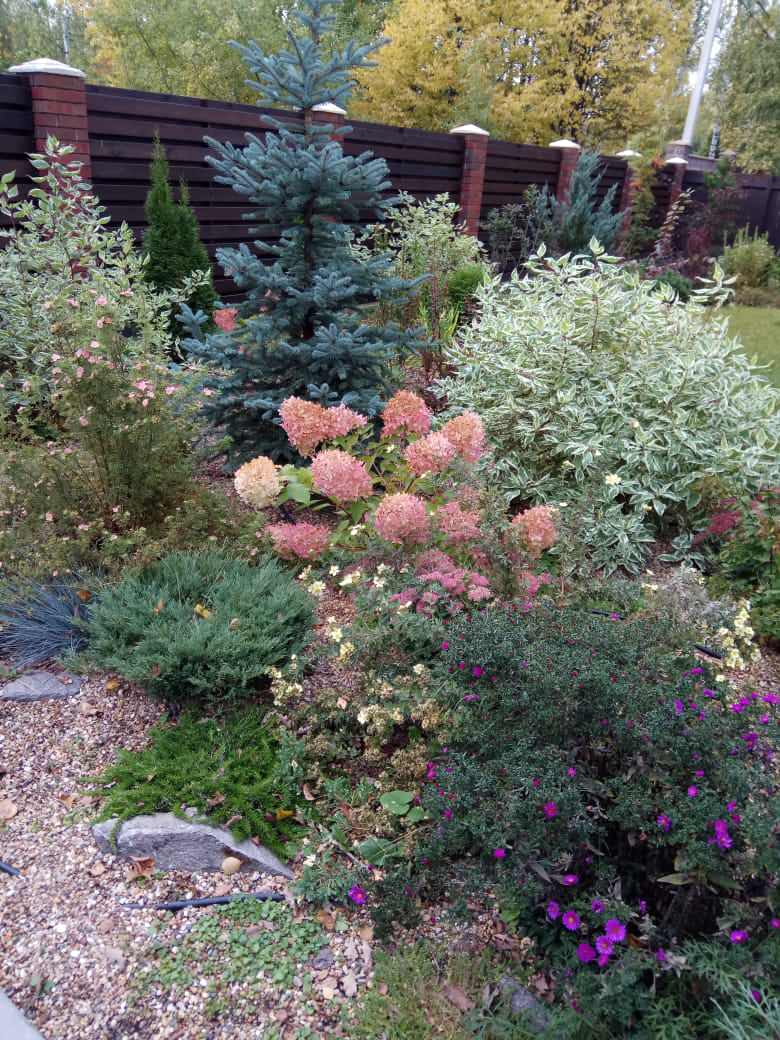 Сад в Рожновке