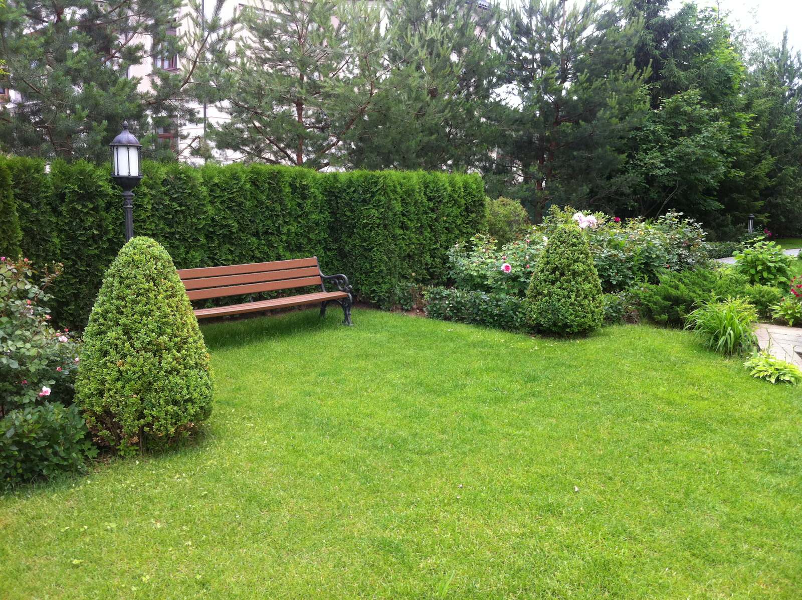 Современный сад