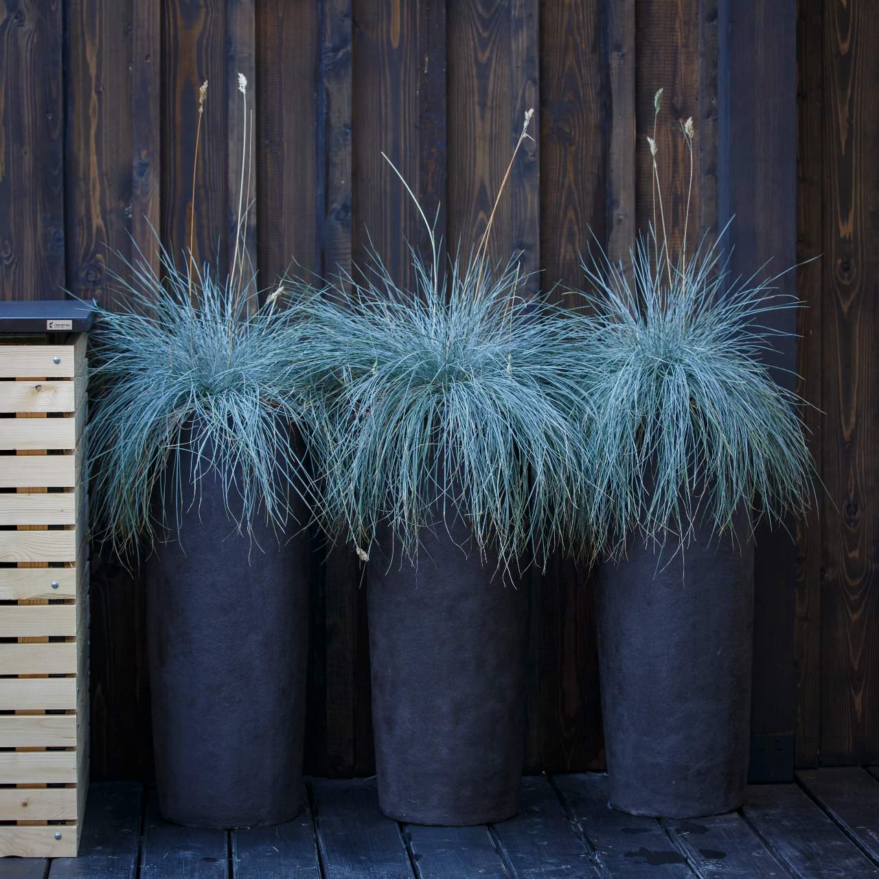 Фестиваль "Moscow Flower Show"