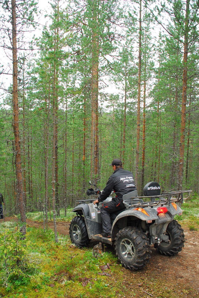 Проект недели: Баня из сухостойной сосны
