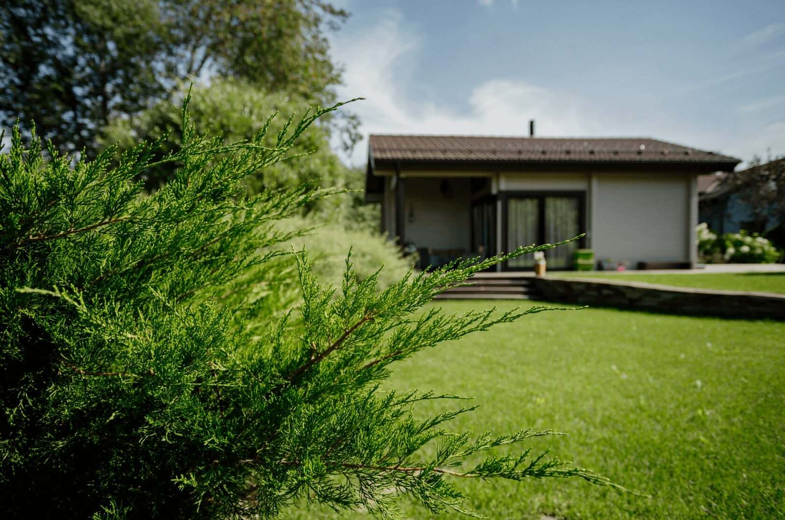 Обложка проекта: Брусландия