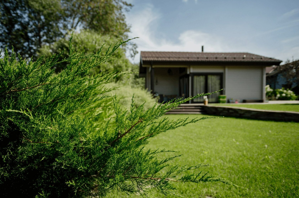 Обложка проекта: Брусландия