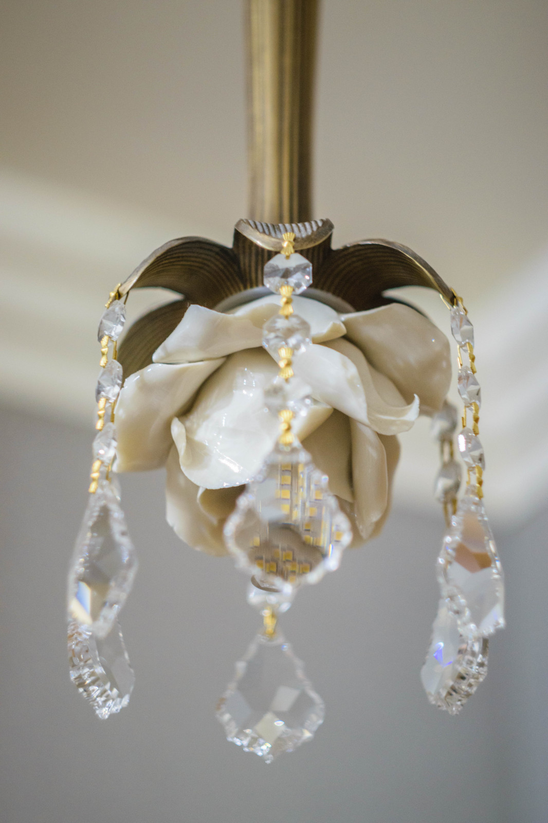 Сад-фантазия для кошки