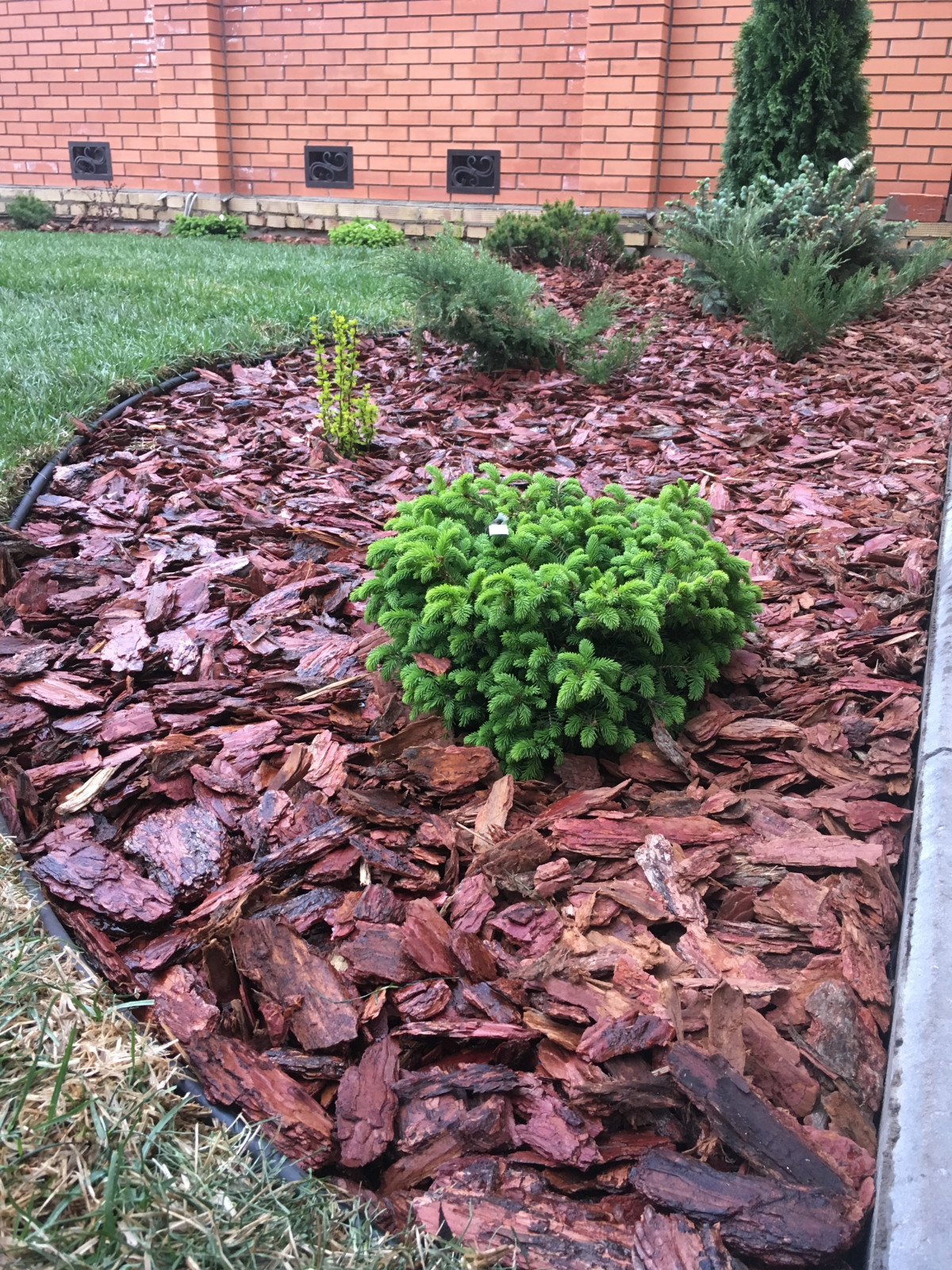 Обложка проекта: Поселок Вознесение