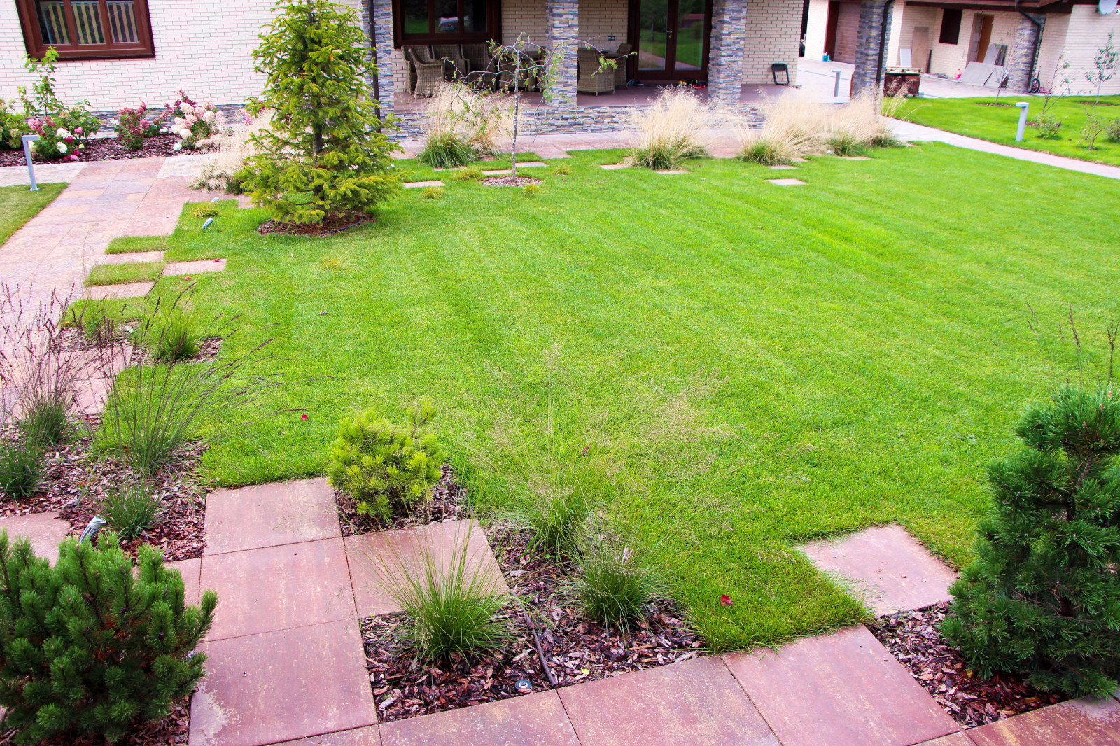 Петровское, 2018-2020 гг.