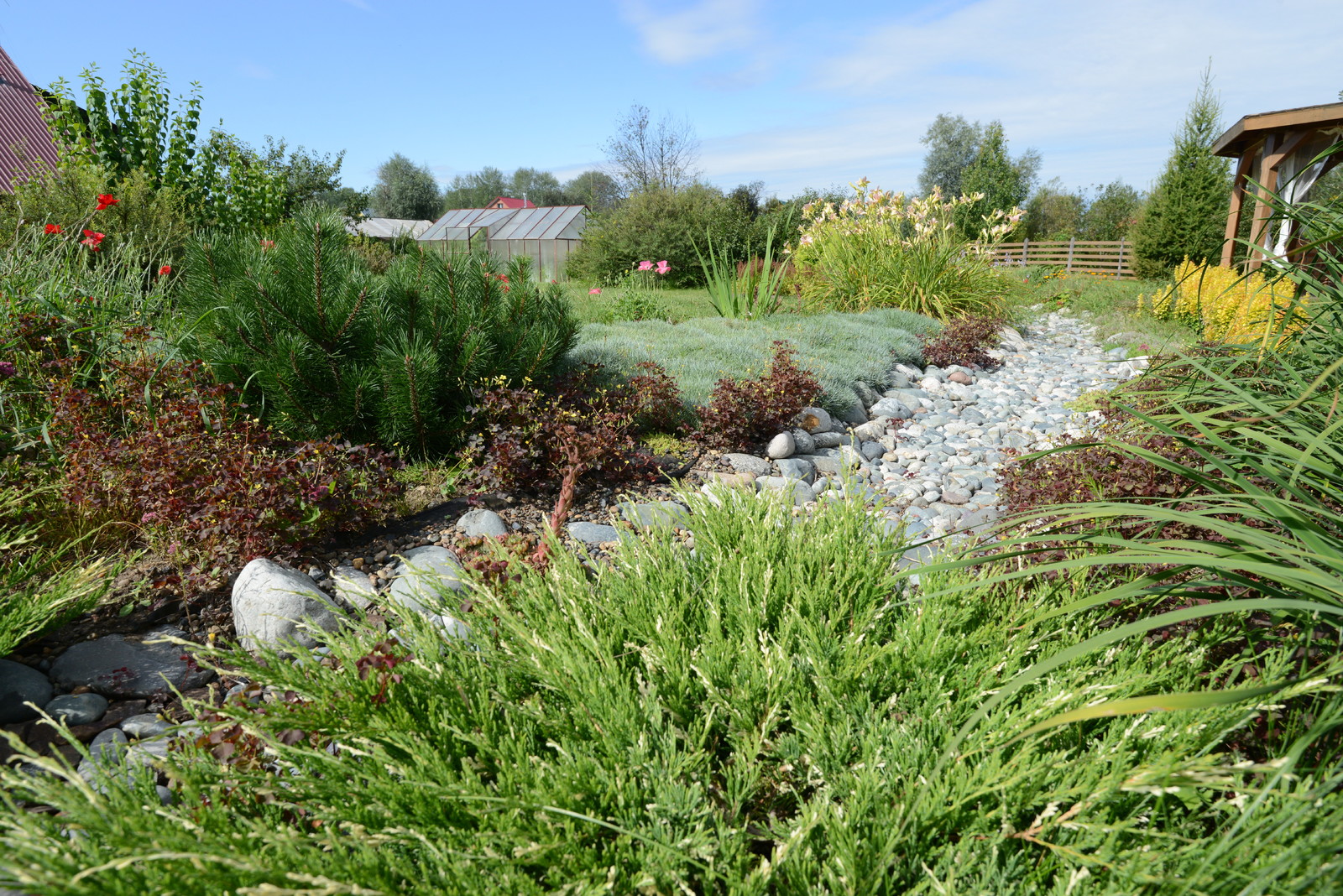 Живописный сад на 15-ти сотках