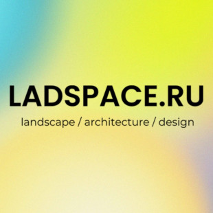 Алина Савина