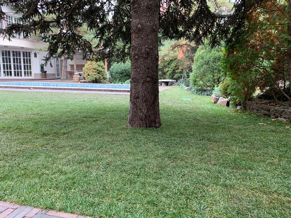 Ландшафт частного участка