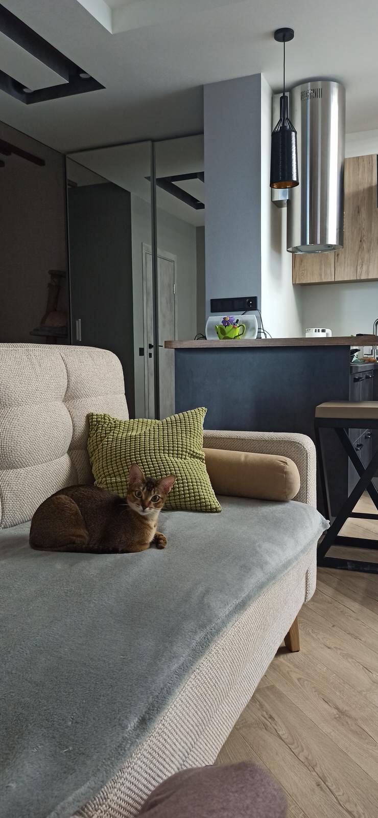 Современный интерьер с элементами лофта и сканди.