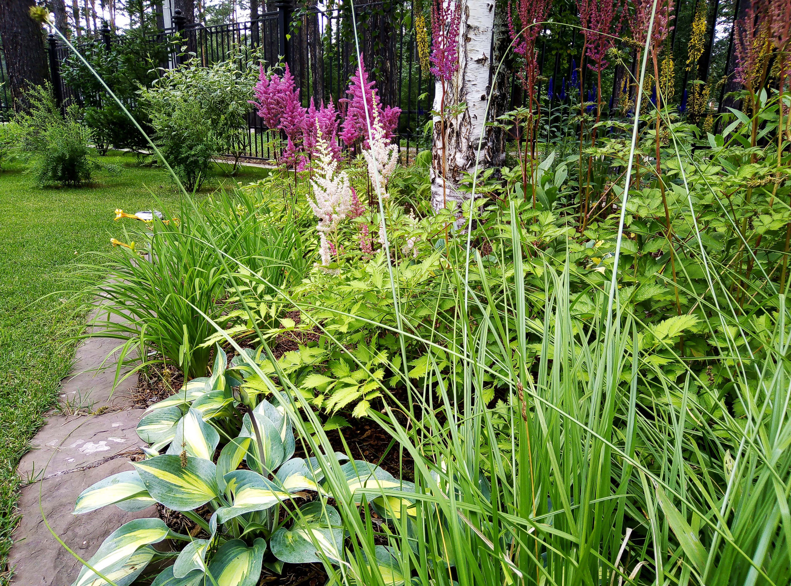 Цветники под пологом леса