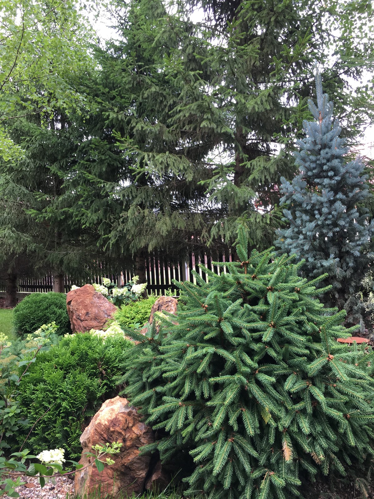 Сад на Новой Риге