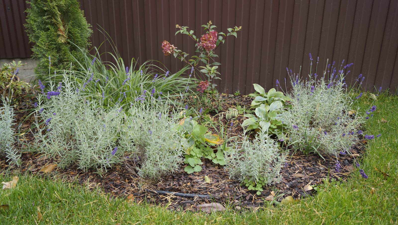 Летняя квартира (п. Удельная)