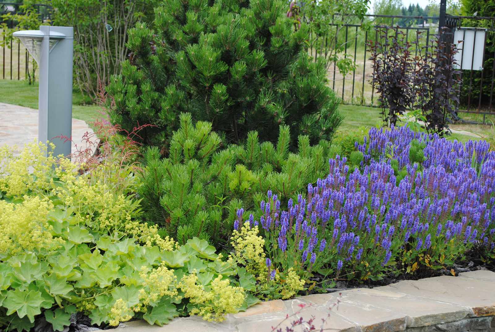 Обложка проекта: КП Графские пруды