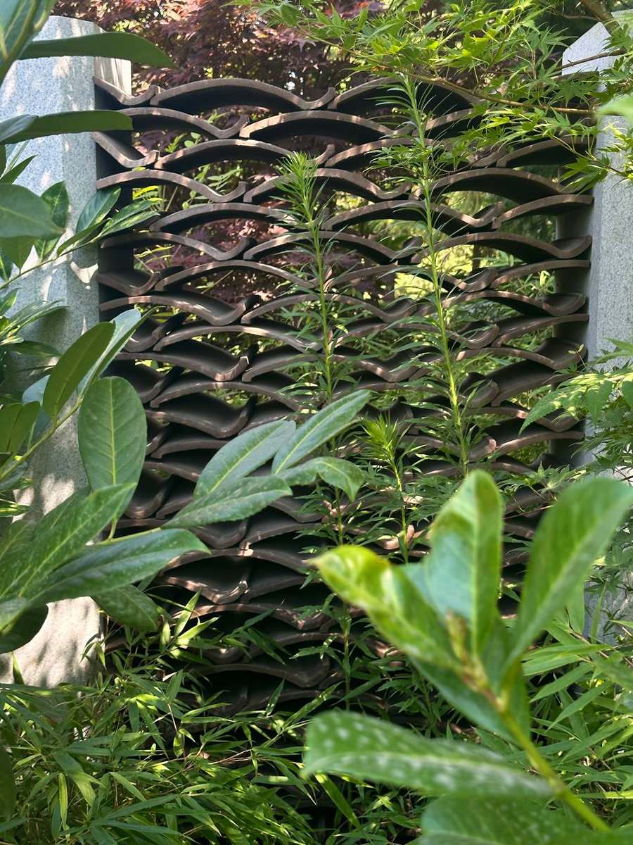 Обложка проекта: Керамические изделия для Японского Сада в Парке Галицкого