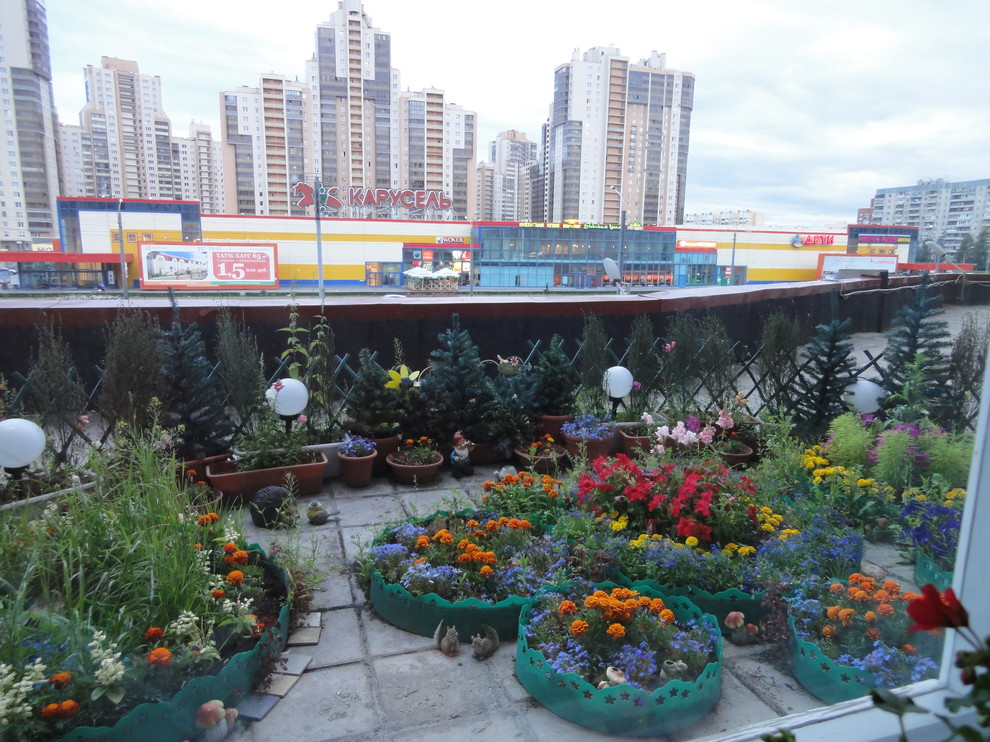 Сад на террасе