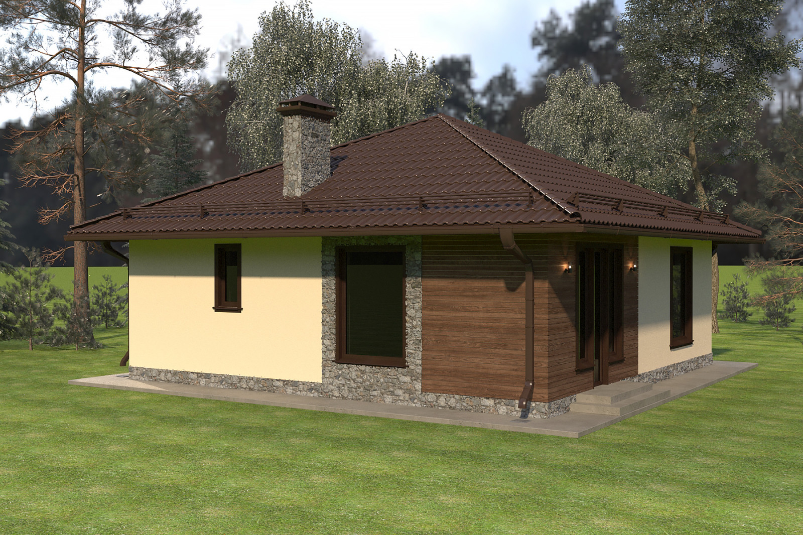 Частный дом 100 х 100