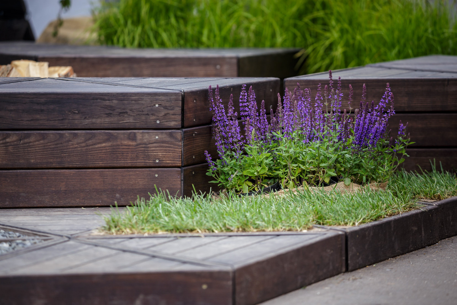 Патио-Триангулатио