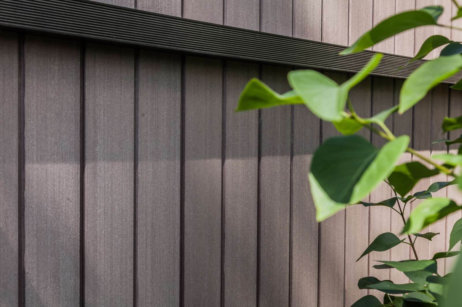 Заборы из ДПК