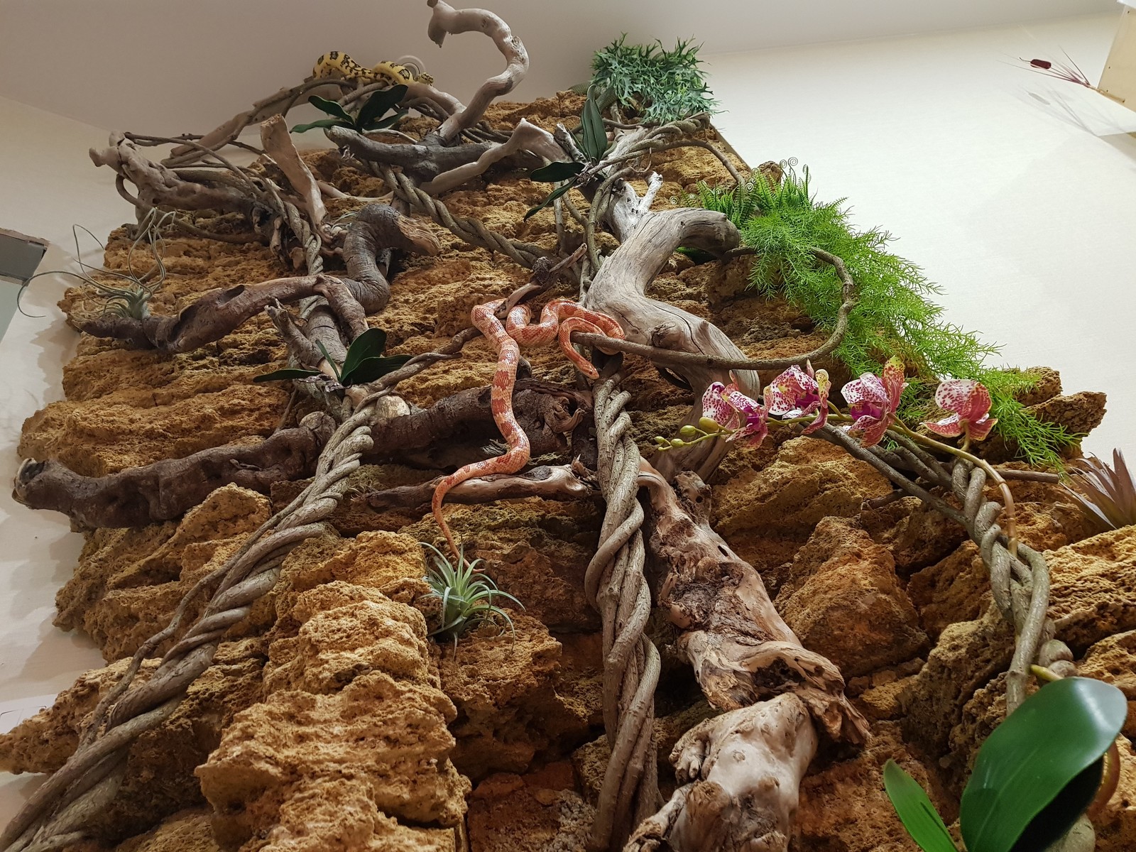 Алексей Кармазин