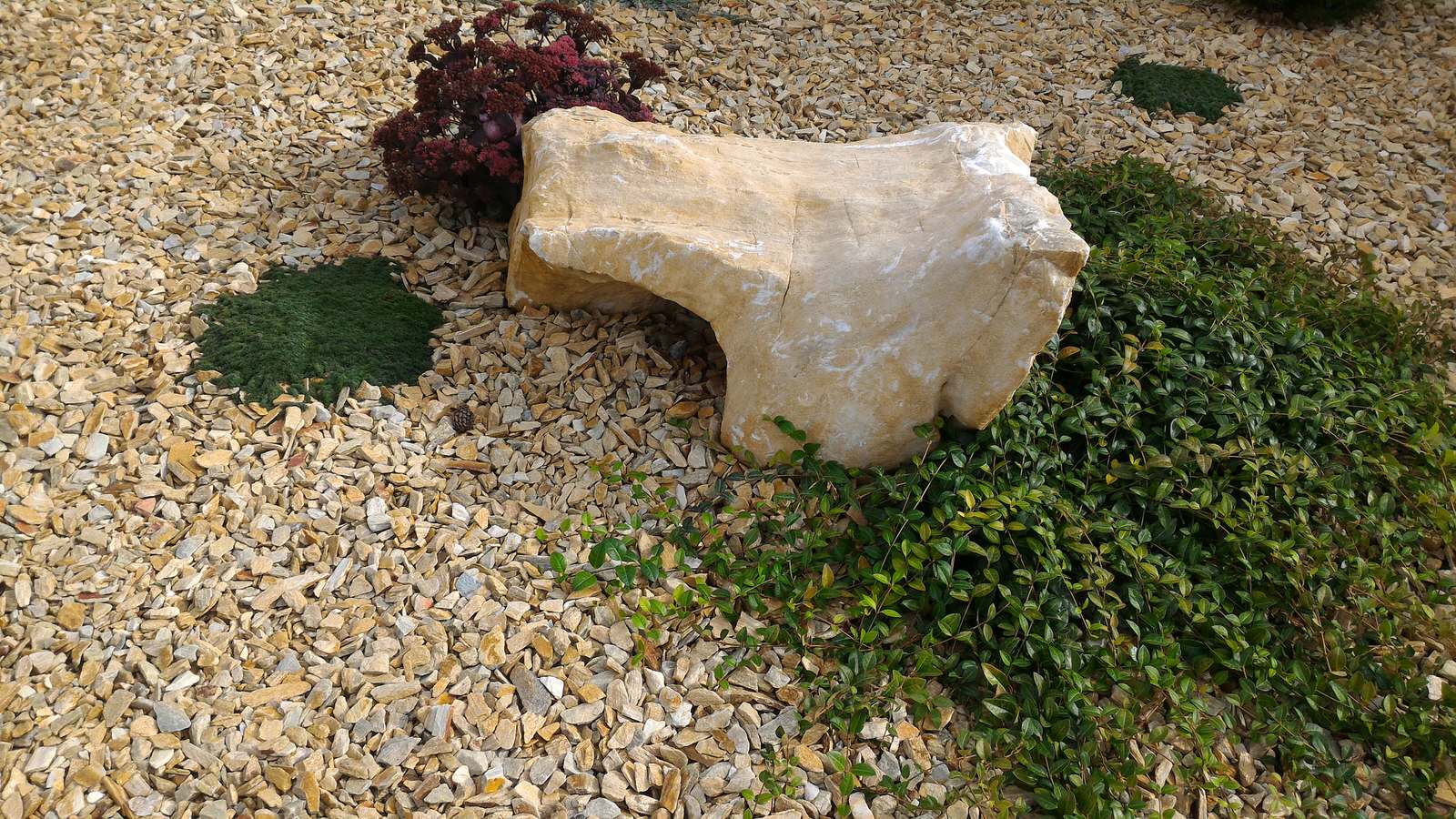 Малоухоный сад