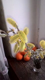 Елена Зеленская