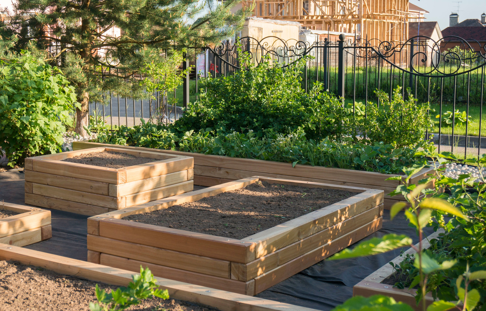 Грядки из лиственницы