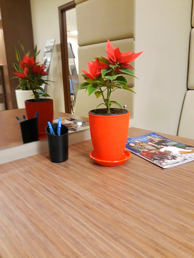 Интерьерное озеленение РБК