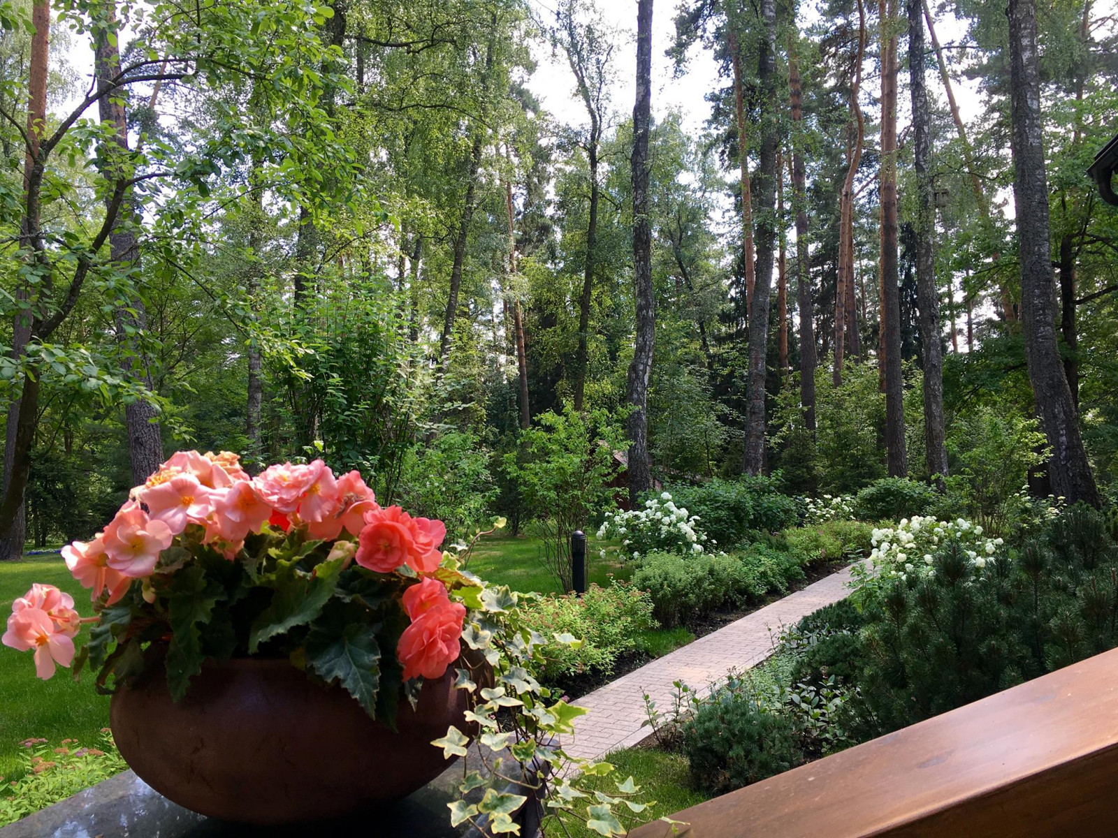 снегири