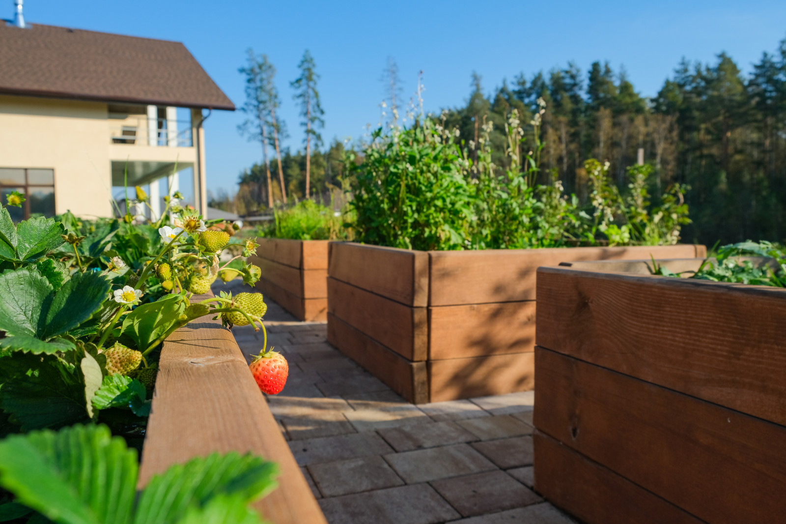 Проект «На берегу ручья»