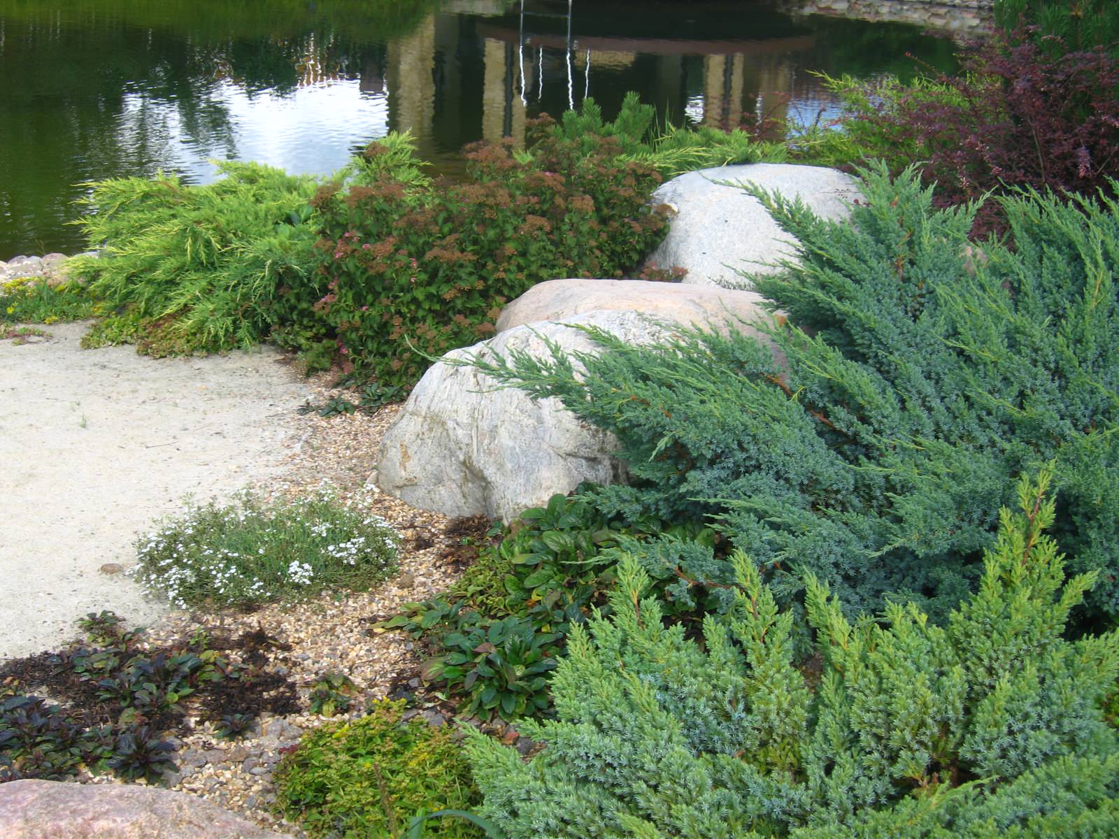 На берегу водоема