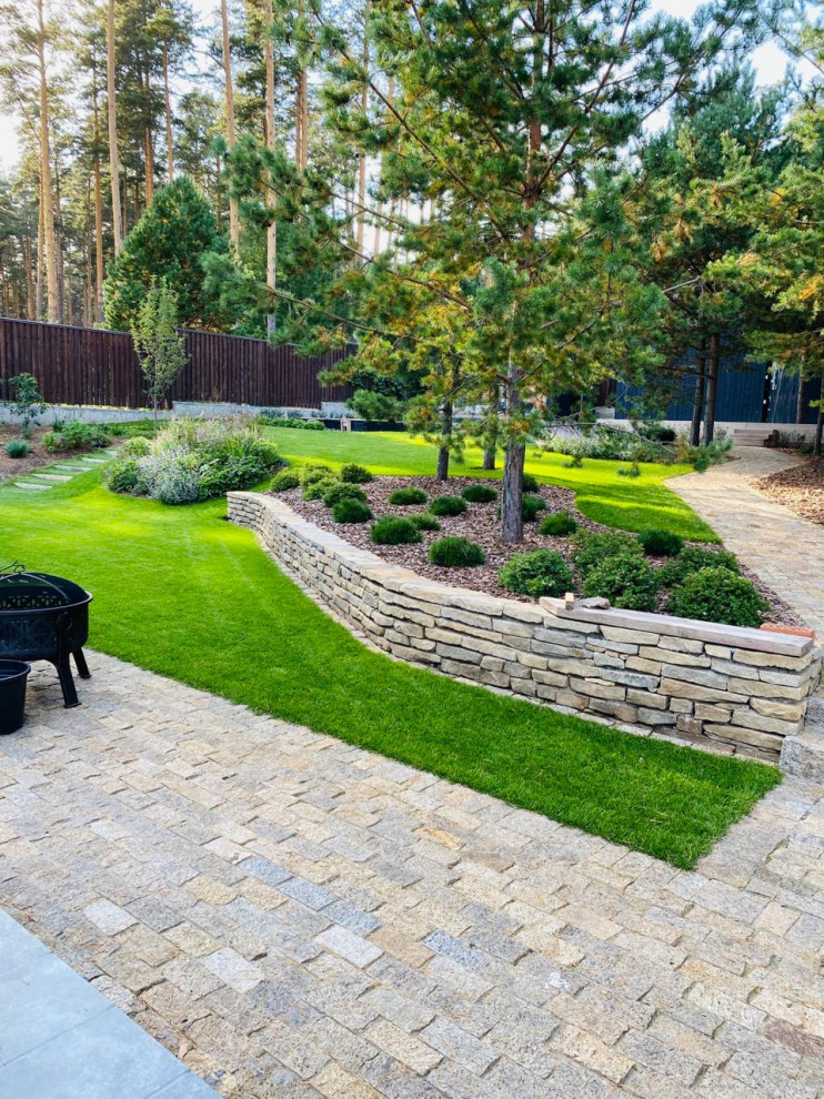 Золотой карп