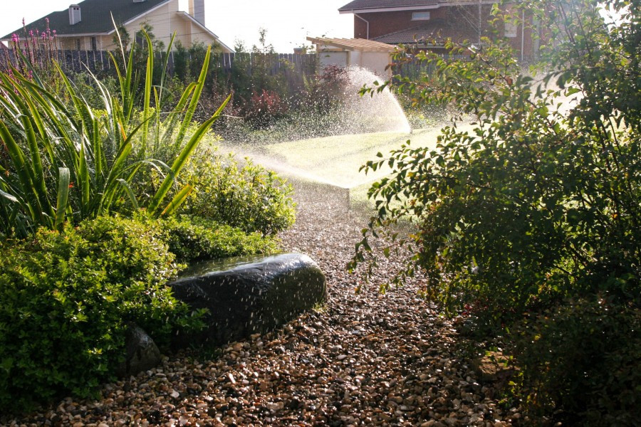 Полив в саду. Подмосковье.