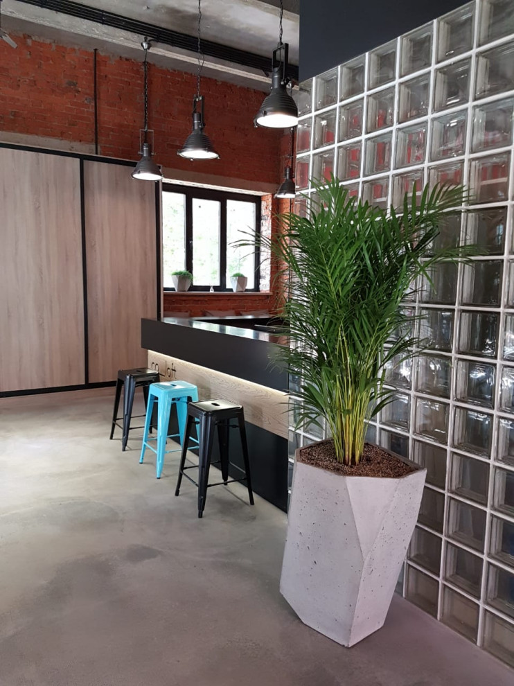 Озеленение офиса