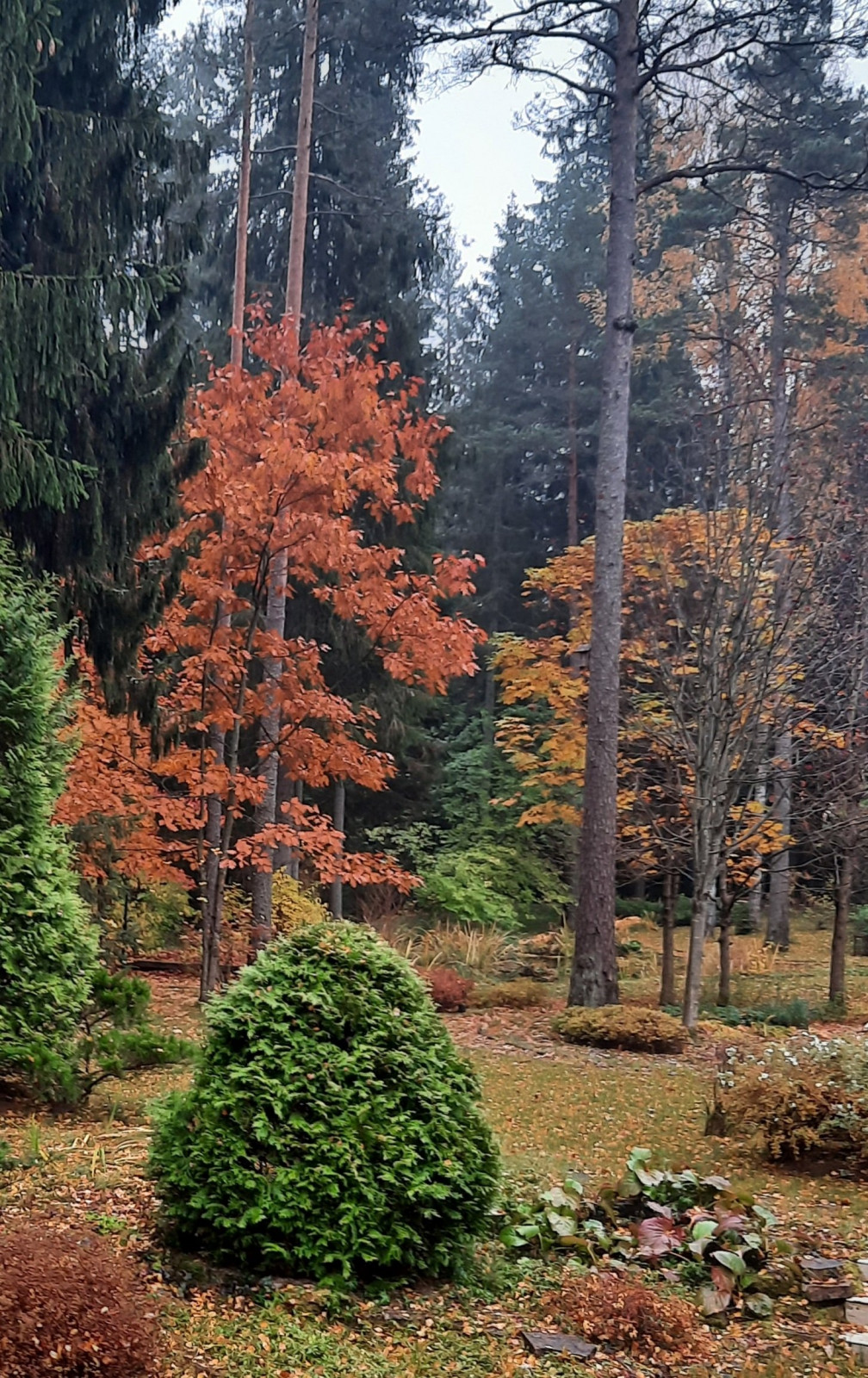 Романтический сад в пейзажном стиле